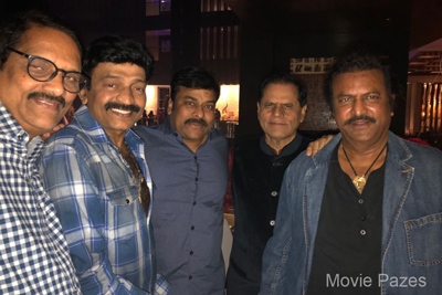 senior-stars-new-year-celebrations